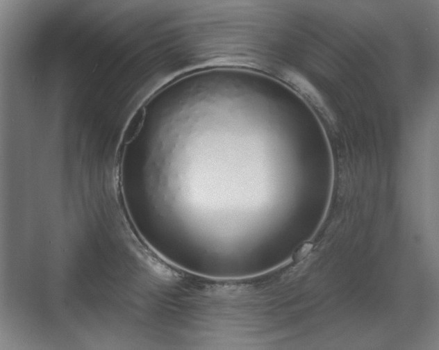 X0000071941284200607141423