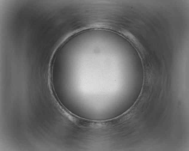 X0000071941286200607141423