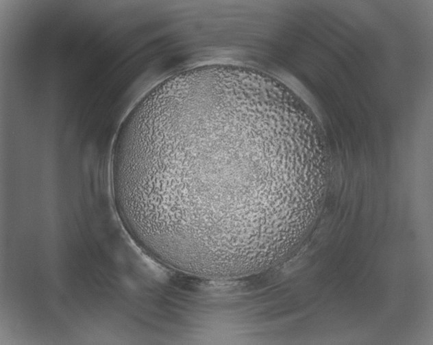 X0000071941290200607141423