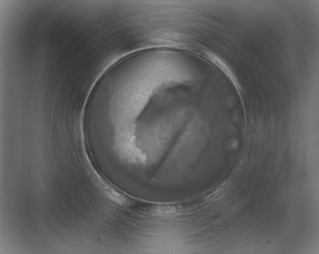 X0000071941291200607141423
