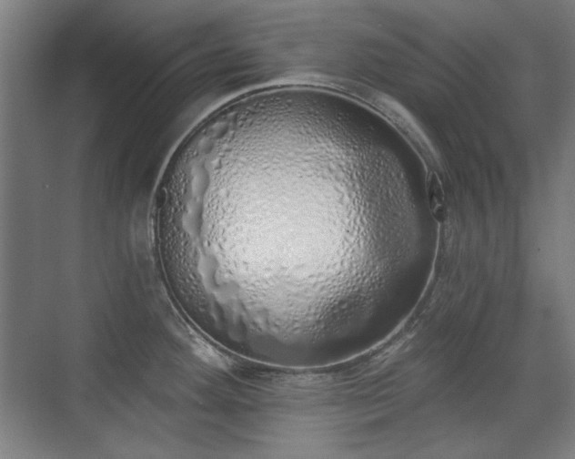 X0000071941292200607141423