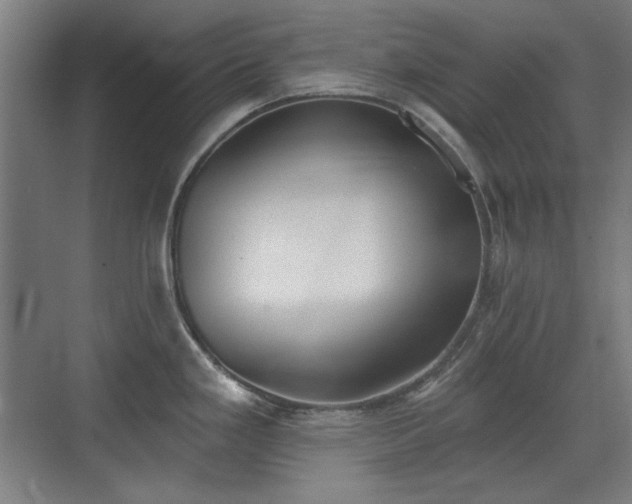X0000071941293200607141423