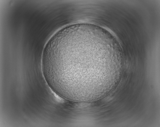 X0000071941294200607141423