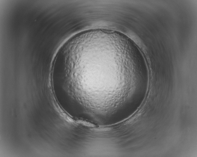 X0000071941296200607141423
