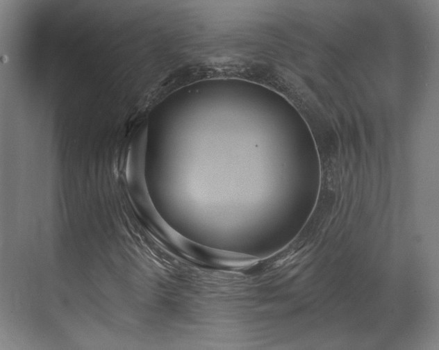 X0000071941298200607141422