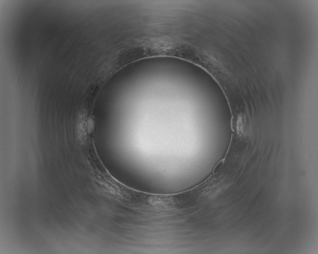 X0000071941299200607141422
