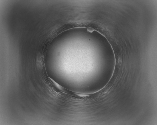 X0000071941300200607141422
