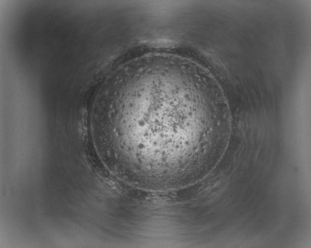 X0000071941301200607141422