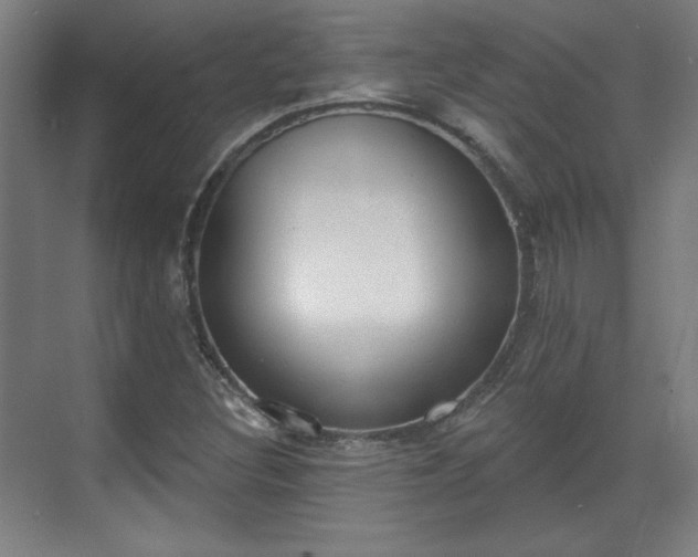 X0000071941308200607141423