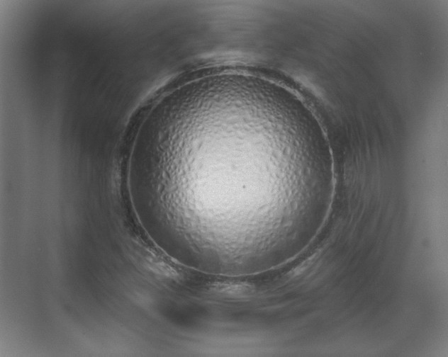 X0000071941309200607141423