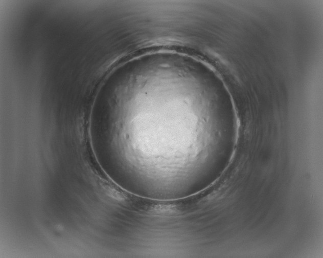 X0000071941313200607141423