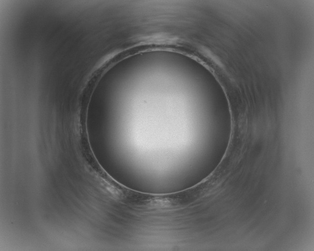 X0000071941315200607141423