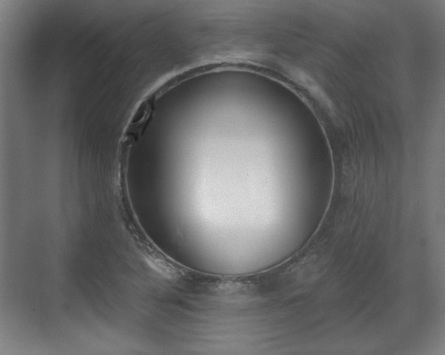 X0000071941316200607141423