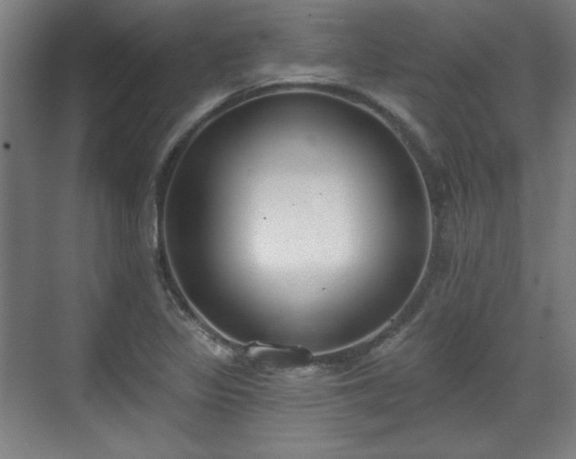 X0000071941317200607141423