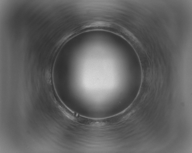 X0000071941321200607141423