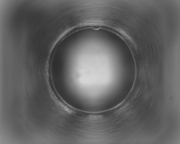 X0000071941325200607141423