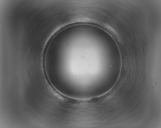 X0000071941326200607141423