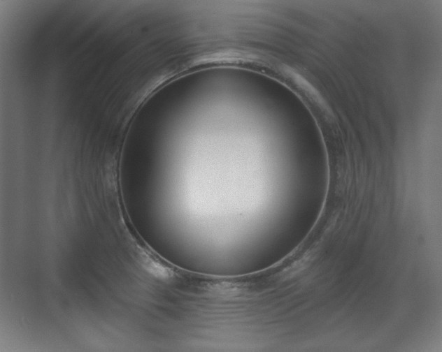 X0000071941329200607141423