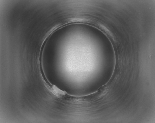 X0000071941330200607141423