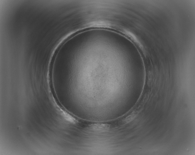 X0000071941331200607141423