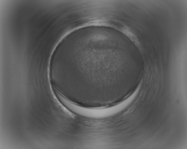 X0000071941334200607141423