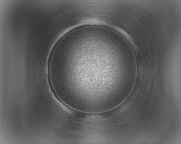 X0000071941335200607141423