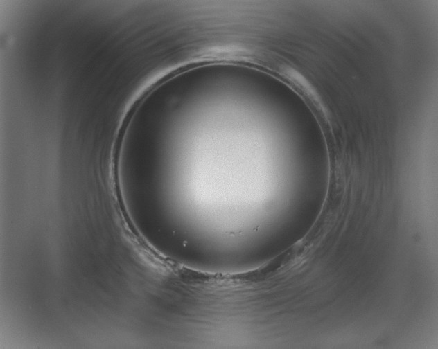 X0000071941336200607141423