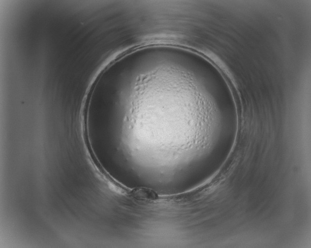X0000071941341200607141423