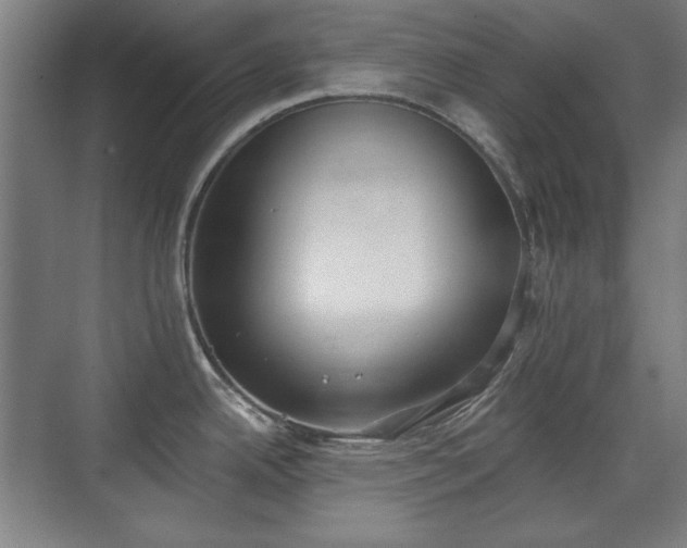 X0000071941342200607141423