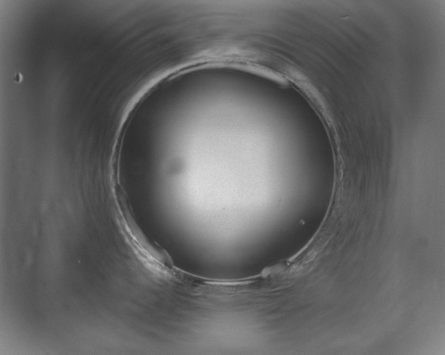 X0000071941344200607141423