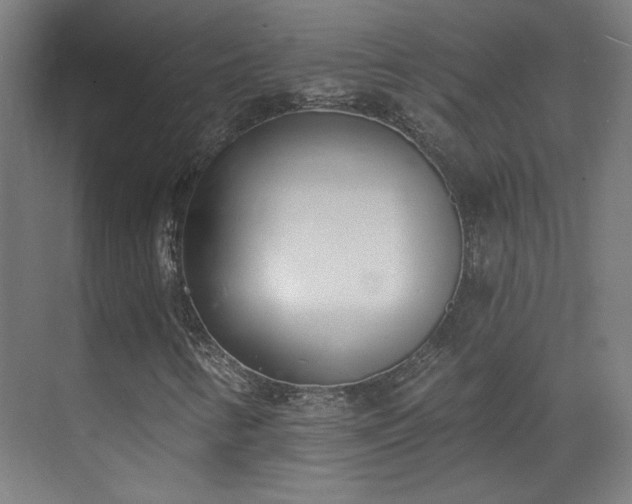 X0000071941346200607141422
