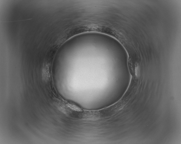 X0000071941347200607141422
