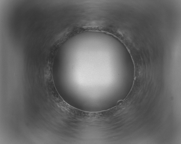 X0000071941350200607141422