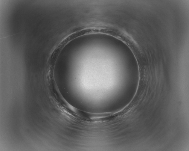X0000071941352200607141422