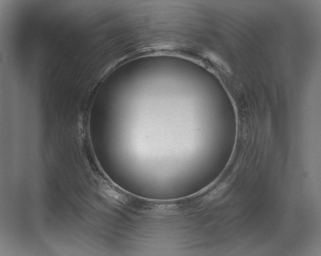 X0000071941353200607141422