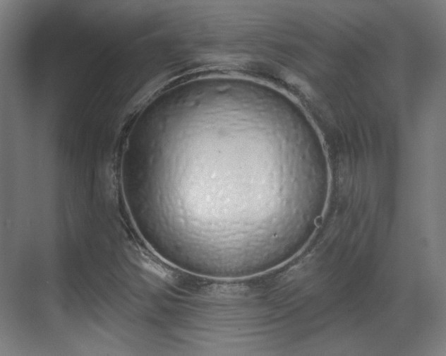 X0000071941354200607141422