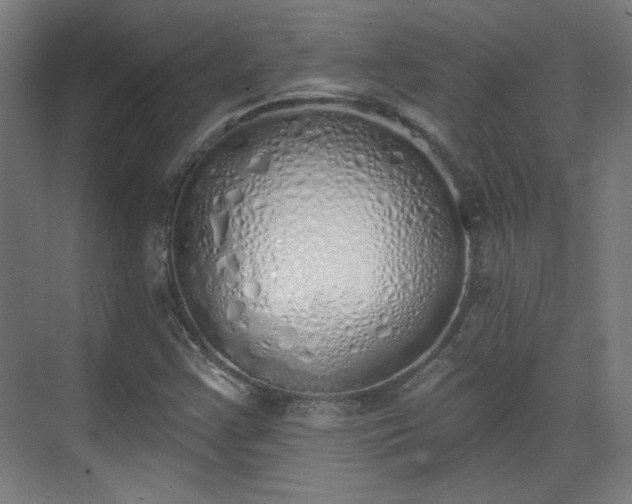 X0000071941355200607141422