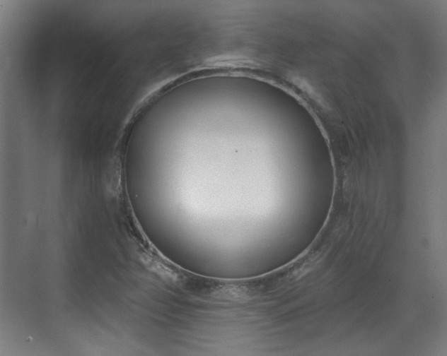X0000071941358200607141422