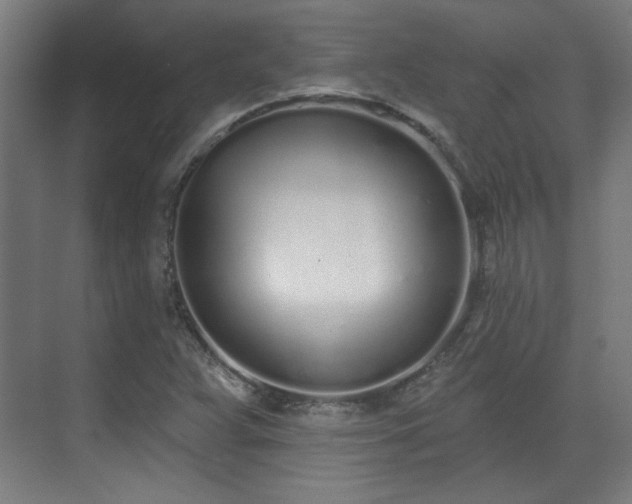 X0000071941359200607141422