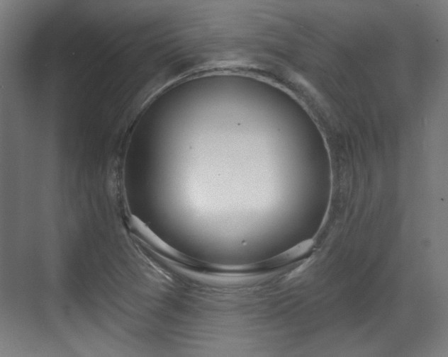 X0000071941361200607141422
