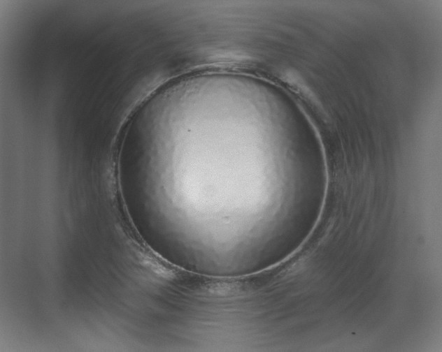 X0000071941362200607141422