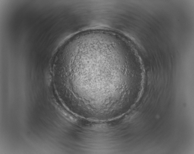 X0000071941363200607141422