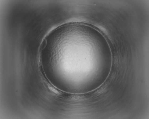 X0000071941366200607141422