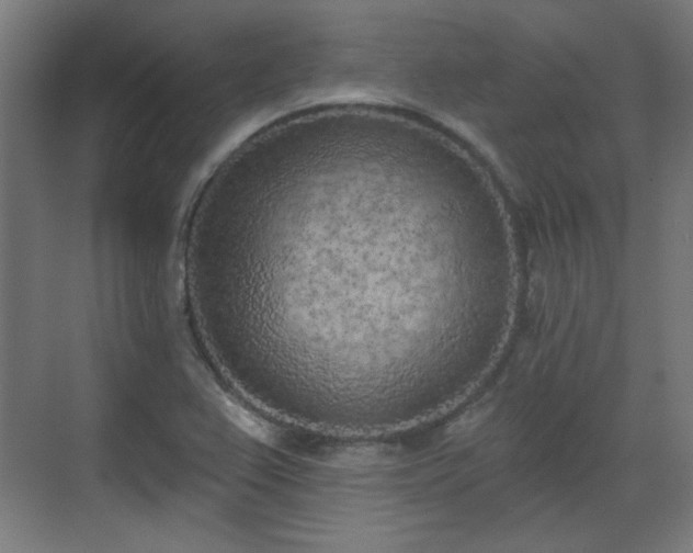 X0000071941367200607141422
