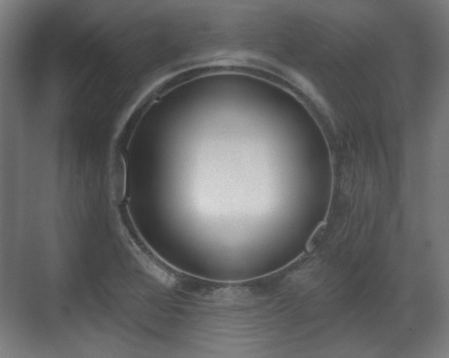 X0000071941368200607141422