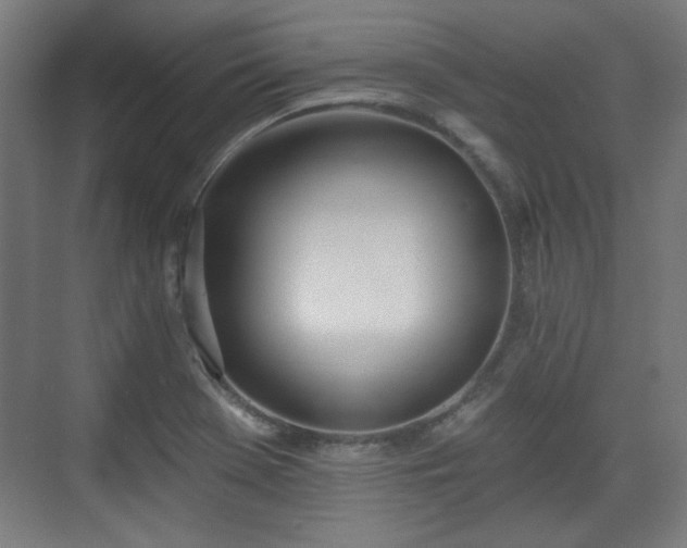 X0000071941369200607141422