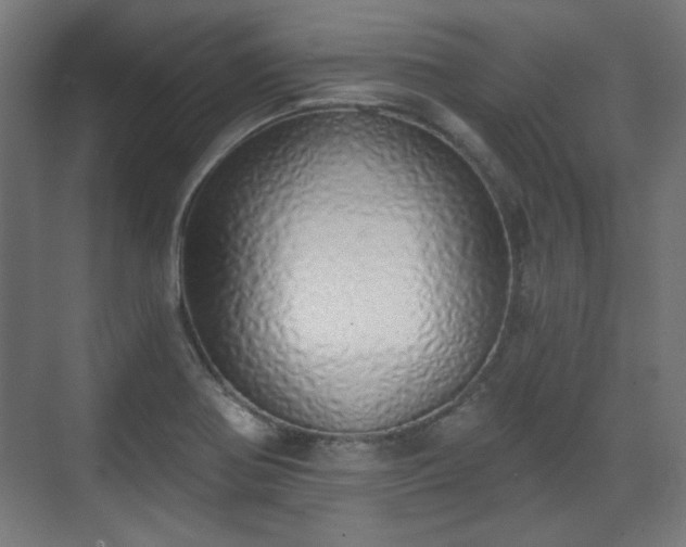 X0000071941370200607141422