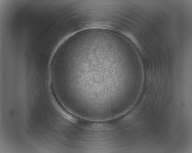 X0000071941371200607141422