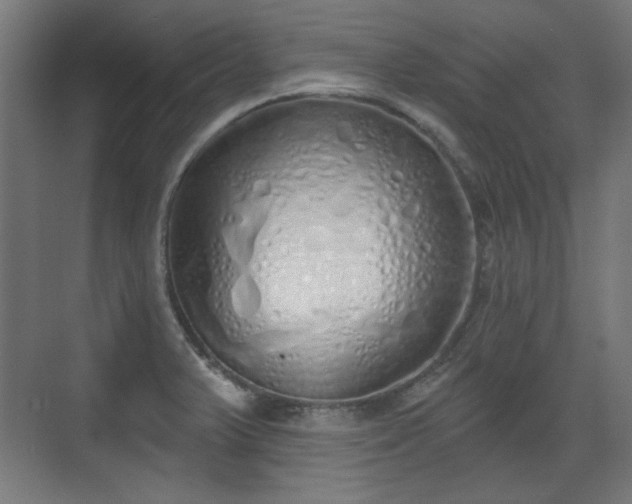 X0000071941375200607141422