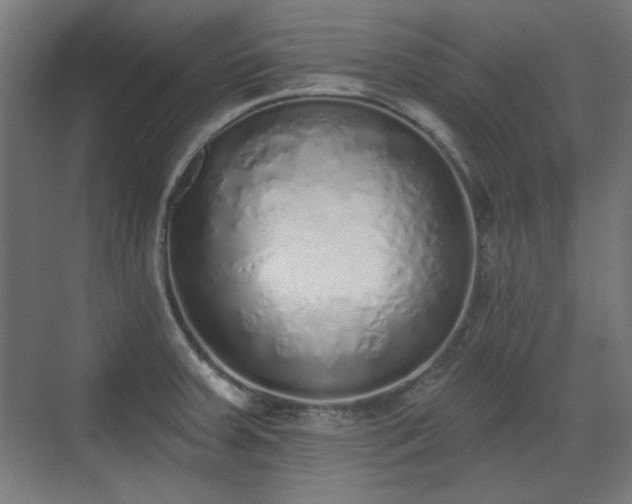 X0000071941379200607141422
